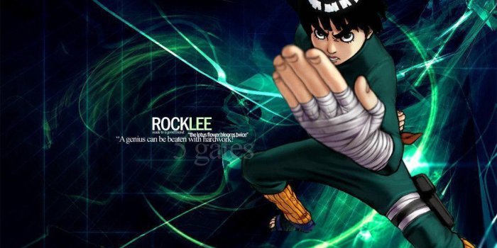 1024x768 Rock Lee Wallpapers