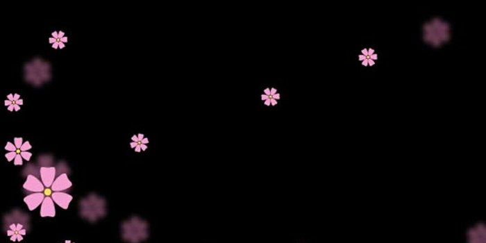 1080x1920 Pink Flowers Whatsapp Backgrounds Pinterest Flower - Background Wallpapers  For Whatsapp - 1080x1920 - Download HD Wallpaper - WallpaperTip