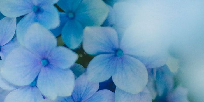 1440x2560 Whatsapp Wallpaper - Whatsapp Wallpaper Hd - 1440x2560 Wallpaper - teahub.io