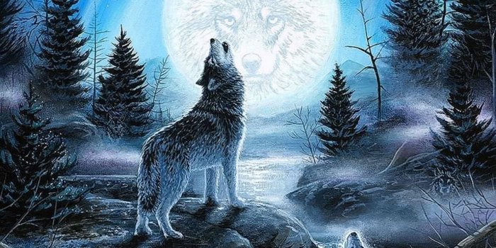 1177x1861 Wolf WhatsApp Wallpapers - Wolf-Wallpapers.pro