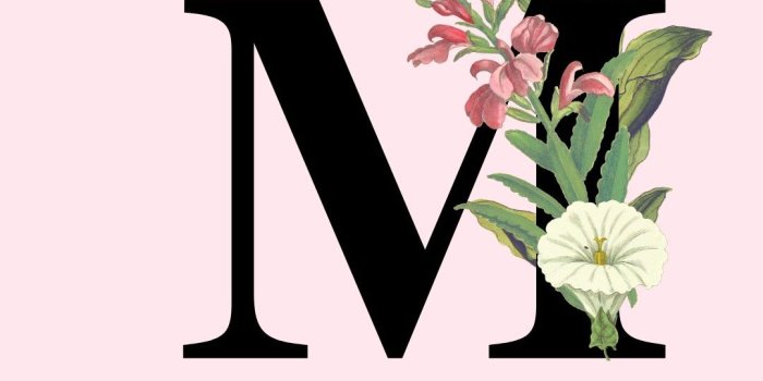 1080x1920 Letter M Phone Wallpaper | Papel de parede brilhante, Pôster floral, Papel  de parede bonito para iphone