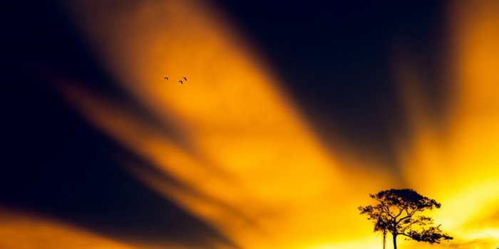 1920x1080 Yellow Aesthetic Desktop Wallpaper - 2021 Cool Wallpaper HD