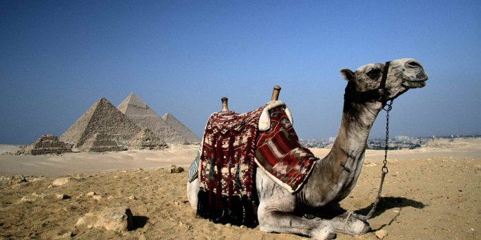 1920x1080 Egypt Wallpapers | Best Wallpapers