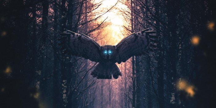 1920x1080 Top 10 Best Aesthetic PC Wallpapers Download [ 2021 ]