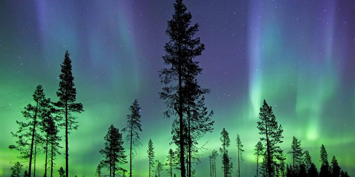 1500x1200 Wall Rogues WR50512 Aurora Borealis/Northern Lights Wall Mural, Multicolor  - - Amazon.com