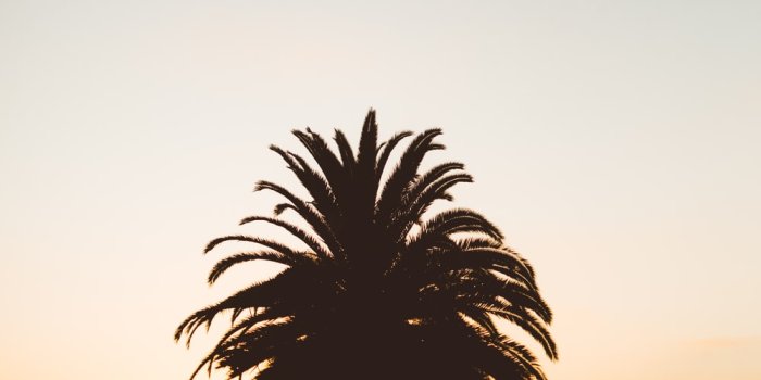 1000x1500 iPhone 7 Plus Wallpapers: Free HD Download [500+ HQ] | Unsplash