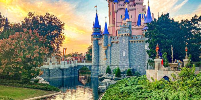 1920x2560 16 Stunning Disney World Wallpapers to Bring a Little Magic to Your Phone  or Desktop - AllEars.Net