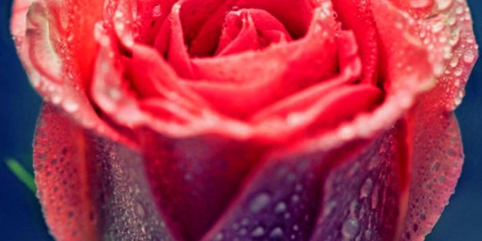 1080x1920 Check out the list of 30 Awesome Iphone 6 plus Wallpapers.All full  resolution HD Wallpapers.All wallpapers are a resolution of 1080 by 1920  have fun enjoy …