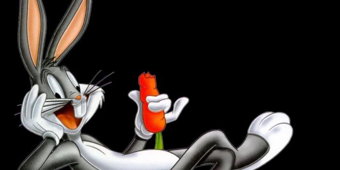 1920x1440 Bugs Bunny Wallpapers