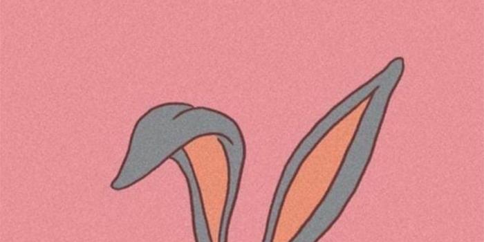 1080x1920 Pin on Wallpapers