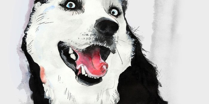 1242x2208 30 Amazing Illustrations iPhone Wallpapers | Ipad wallpaper watercolor,  Watercolor dog, White husky