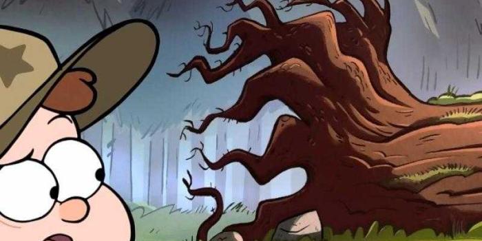 800x1280 Gravity Falls Wallpaper - iXpap