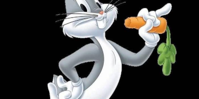 720x1280 Bugs Bunny Looney Tunes Wallpapers - Top Free Bugs Bunny Looney Tunes  Backgrounds - WallpaperAccess