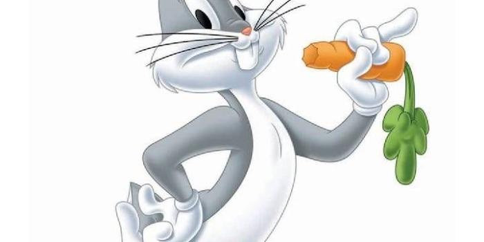 720x1280 Download Bugs Bunny Wallpaper by DLJunkie - ff - Free on ZEDGE™ now. Browse  millions of popular bugs b… | Bunny wallpaper, Bugs bunny drawing, Looney  tunes cartoons