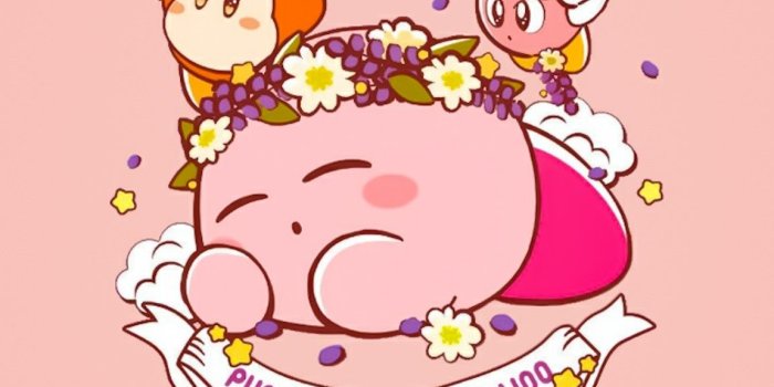 1151x2048 HD Kirby Wallpaper - EnWallpaper