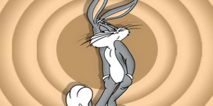 1280x1024 Download Bugs Bunny Wallpaper Backgrounds 13 HD Wallpapers Desktop  Background