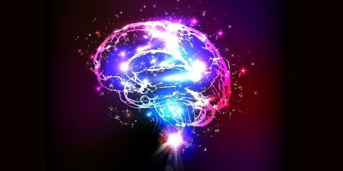 1920x1080 24 Brain Wallpapers - Wallpaperboat