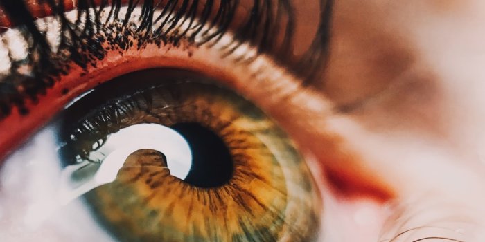 1000x1333 750+ Eye Pictures [HD] | Download Free Images on Unsplash