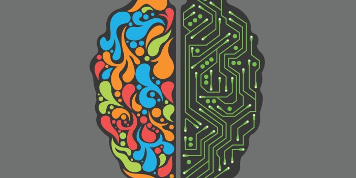 3840x2160 Brain Minimalism, HD Artist, 4k Wallpapers, Images, Backgrounds, Photos and  Pictures