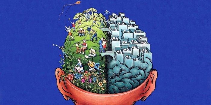 1920x1080 Full Hd P Brain Wallpapers Hd, Desktop Backgrounds - Brain Wallpaper 4k -  1920x1080 Wallpaper - teahub.io