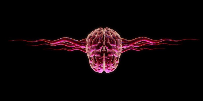 1280x1024 Brain wallpapers HD for desktop backgrounds