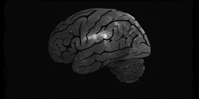 2560x1440 Galactic Brain B and W HD wallpaper