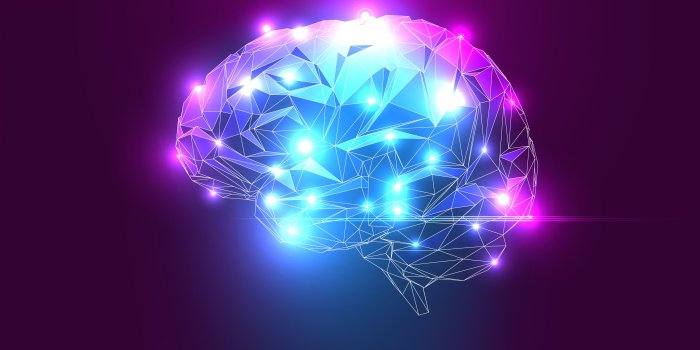 4000x2258 Cool Brain Wallpapers - Top Free Cool Brain Backgrounds - WallpaperAccess