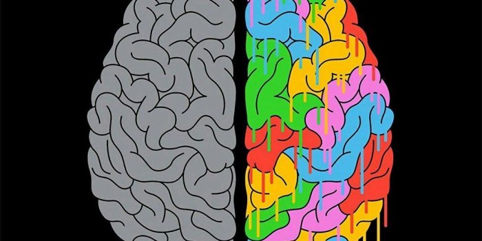 1080x1920 Human Brain Mobile Wallpapers