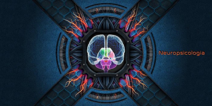 1920x1080 Brain Neuropsychology Wallpaper, HD Artist 4K Wallpapers, Images, Photos  and Background - Wallpapers Den