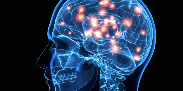 1300x875 Brain Wallpaper HD 36697 - Baltana