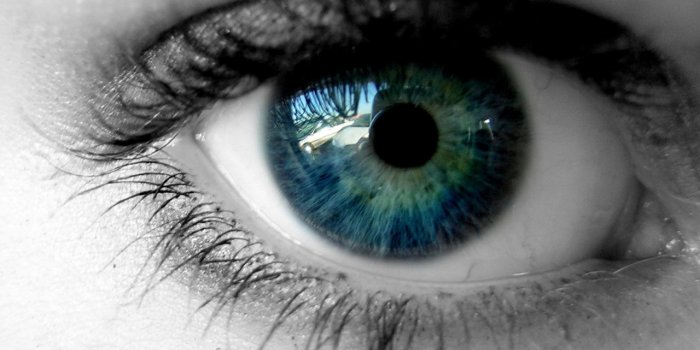 1280x804 Reflections in eye wallpapers | Reflections in eye stock photos