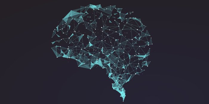 2600x1365 Human Brain Best HD Wallpaper 36888 - Baltana