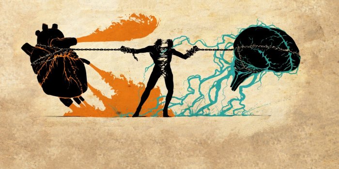 1920x1200 20+ Brain HD Wallpapers | Background Images