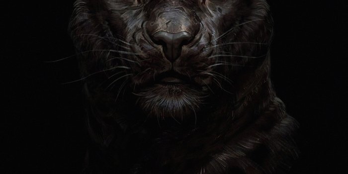 2160x3840 2160x3840 Tiger, glowing red eye, minimal, dark wallpaper | Black jaguar  animal, Jaguar animal, Black panther hd wallpaper