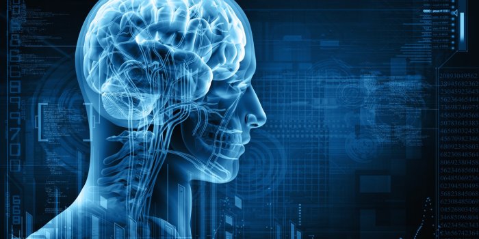 1332x850 Wallpaper sake, brain, radiography images for desktop, section рендеринг -  download