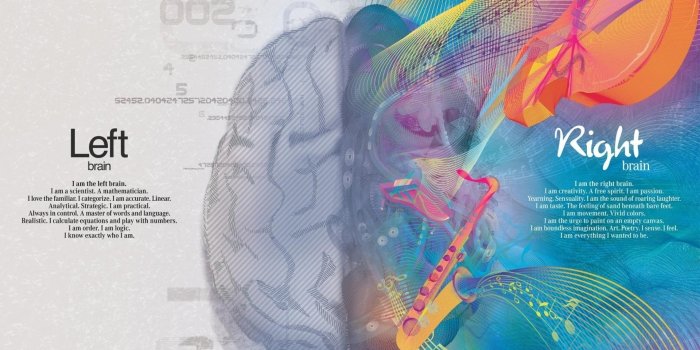 1920x1080 brain artwork 1920x1080 wallpaper High Quality Wallpapers,High Definition  Wallpapers