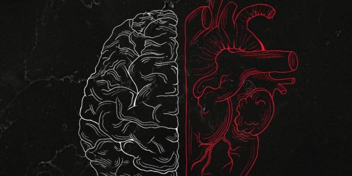 900x1600 Brain Vs Heart IPhone Wallpaper - IPhone Wallpapers : iPhone Wallpapers