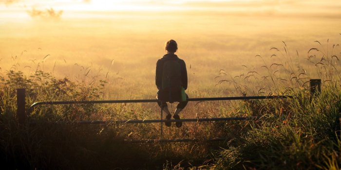 1920x1080 Lonely Wallpapers - Wallpaperboat