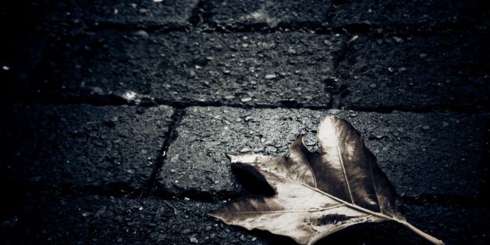 1152x768 Lonely Backgrounds posted by Samantha Sellers