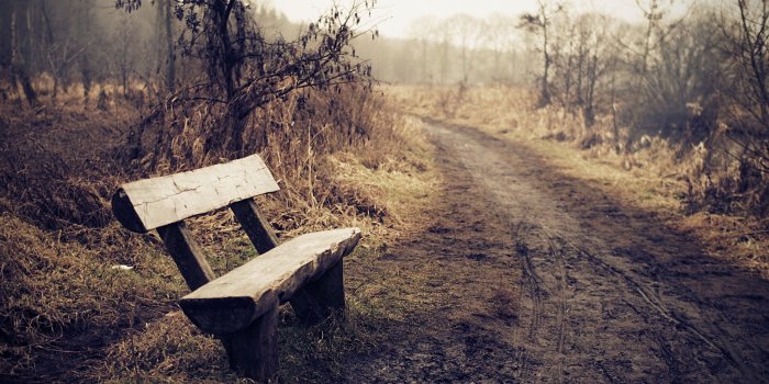 2560x1600 Lonely Landscape Wallpapers - 4k, HD Lonely Landscape Backgrounds on  WallpaperBat