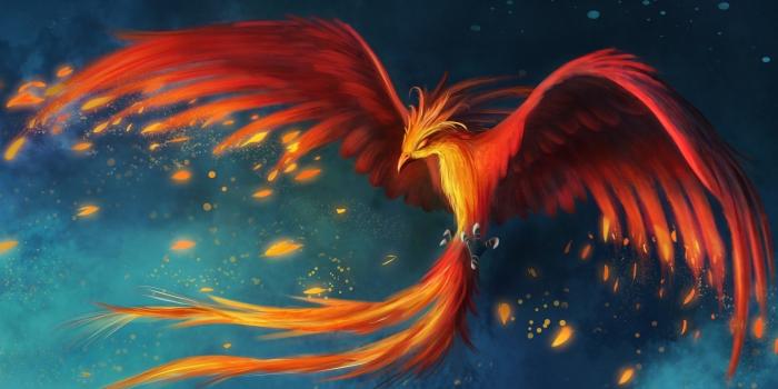1920x1080 21 Phoenix Wallpapers - Wallpaperboat