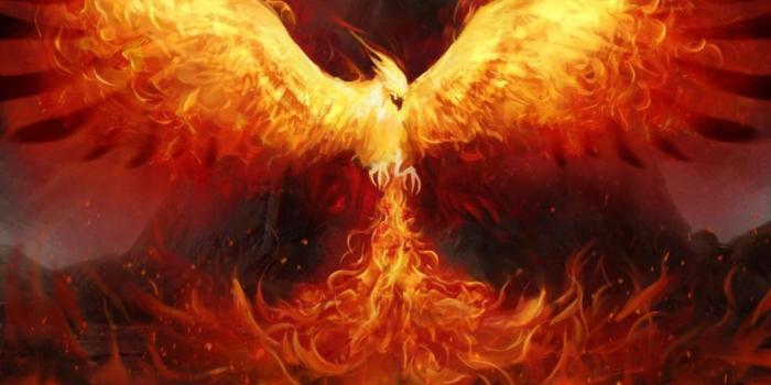 1680x1050 The Phoenix Wallpapers