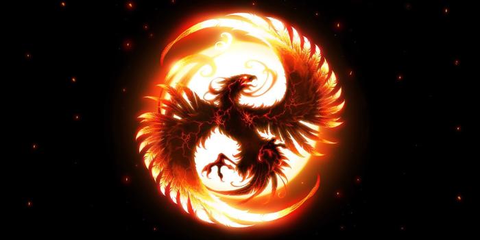 1728x1080 46+] Phoenix Wallpapers on WallpaperSafari
