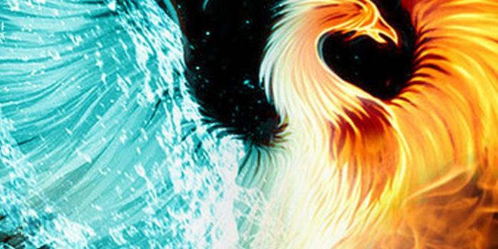 1080x1920 Phoenix Images iPhone Wallpaper - 2021 3D iPhone Wallpaper