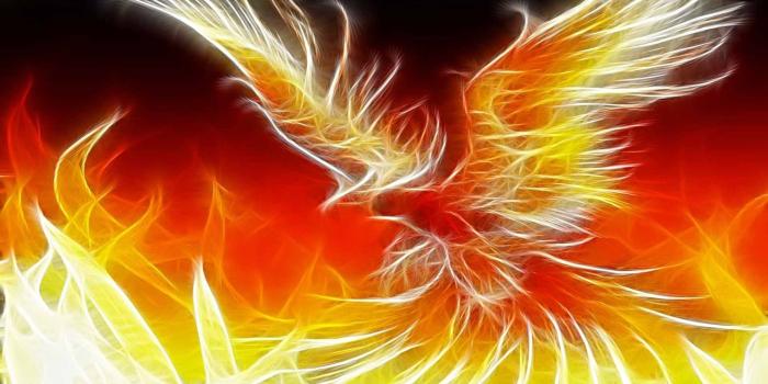 1920x1080 Phoenix Bird Wallpaper HD - PixelsTalk.Net