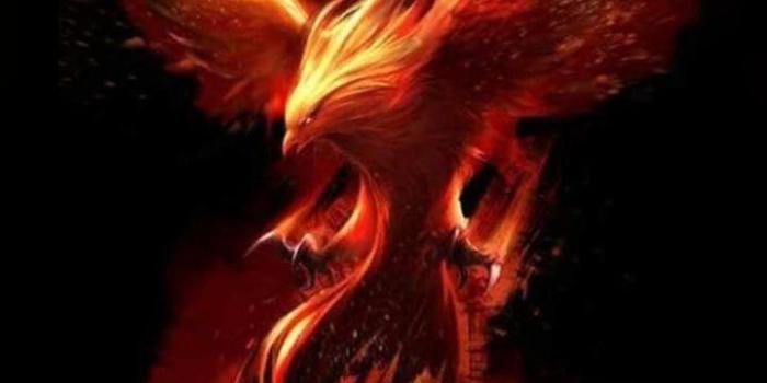 720x1280 Fire Phoenix Wallpapers