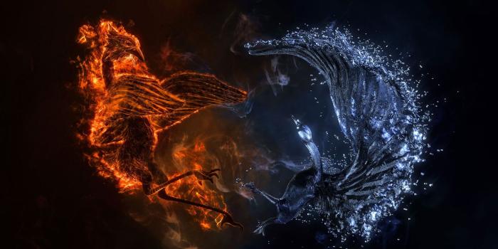 2200x1519 Phoenix Bird Wallpapers Free Download - PixelsTalk.Net