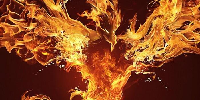 1080x1920 Phoenix iPhone Wallpapers - Top Free Phoenix iPhone Backgrounds -  WallpaperAccess