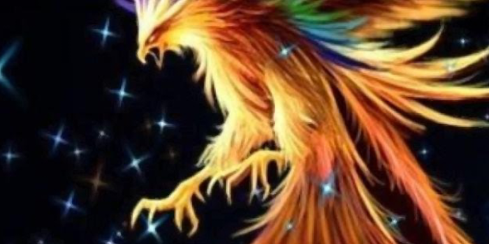 720x1280 Phoenix Wallpaper:Amazon.com:Appstore for Android