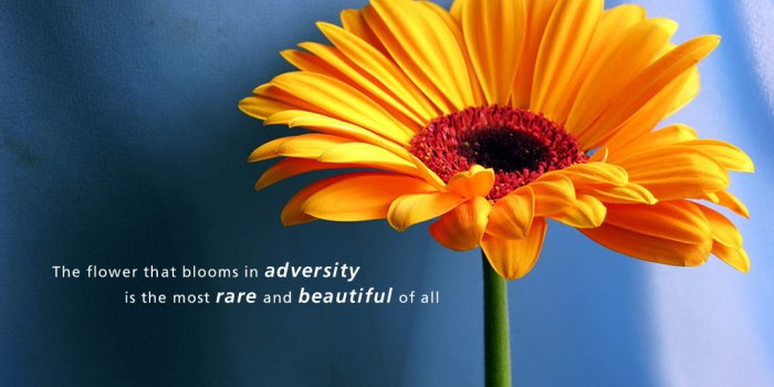 1024x768 Inspirational Wallpapers - Creativity Wallpaper (12818712) - Fanpop